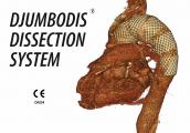 DJUMBODİS